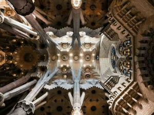 ख़तरनाक ज़ाल!!