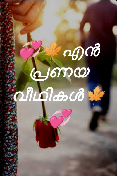 💞🍁എൻ പ്രണയ വീഥികൾ🍁💞