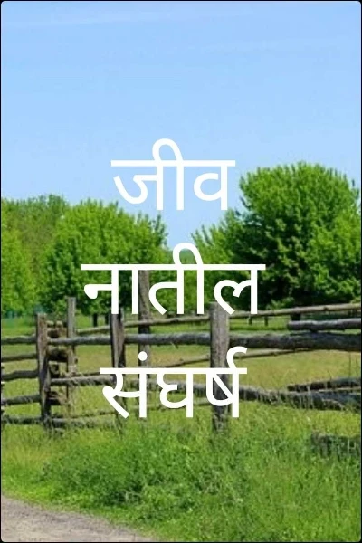 जीवनातील संघर्ष