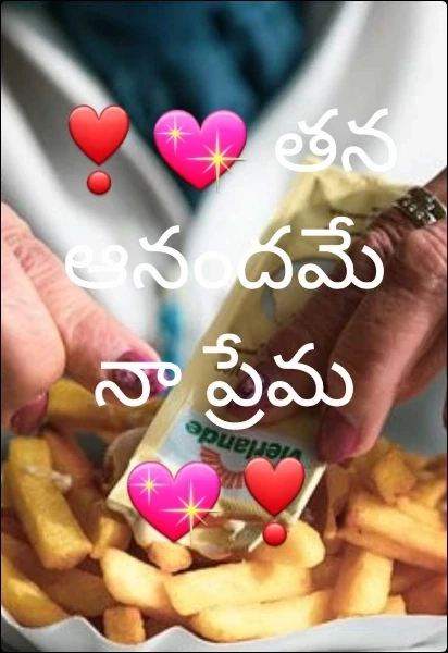❣💖 తన ఆనందమే నా ప్రేమ 💖❣