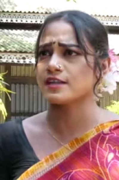 সুখের পায়রা