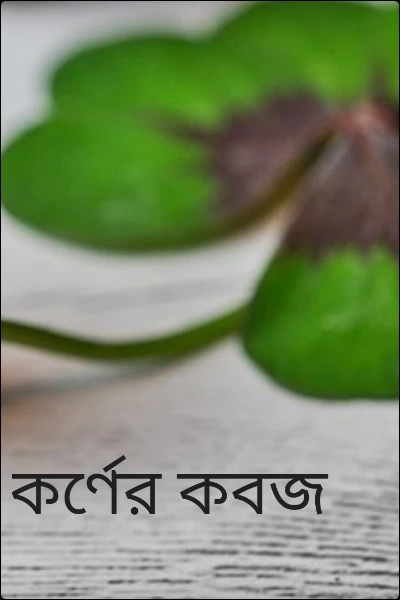 কর্ণের কবচ(প্রথম পর্ব)