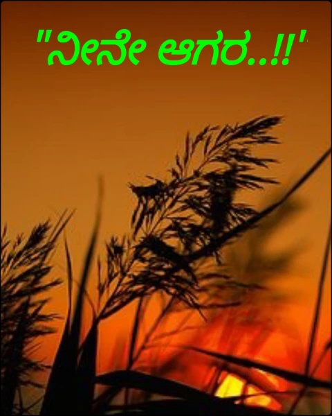 "ನೀನೇ ಆಗರ..!!"