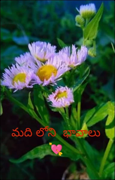 మది లోని  భావాలు 💘