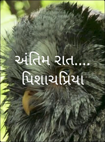 અંતિમ રાત.... પિશાચપ્રિયા