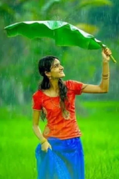 చిలకమ్మ కాపురం