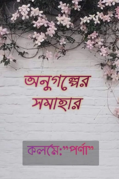 অনুগল্পের সমাহার