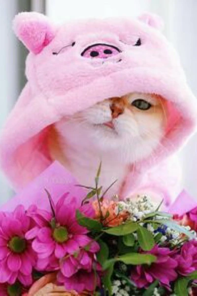 *CAT GIRL*