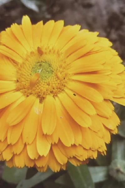 অনুগল্প প্রতিযোগিতা ২০২২
(সমাজের সাতকাহন)