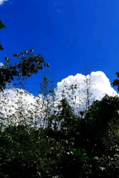 অণুগল্প সংকলন