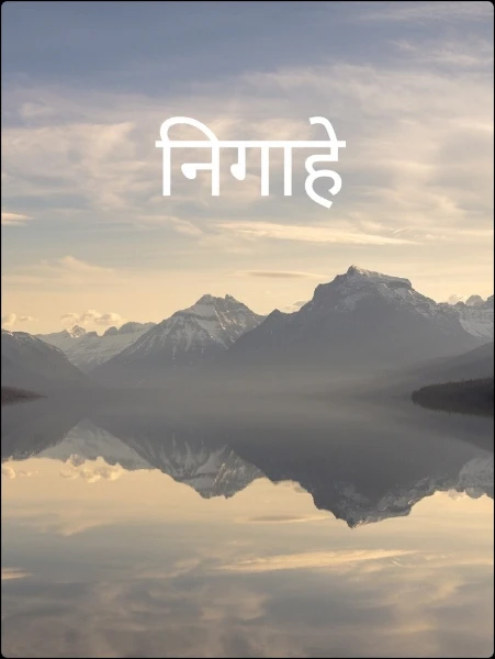निगाहे