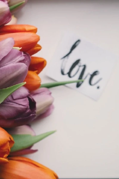 డెవిల్స్ లవ్