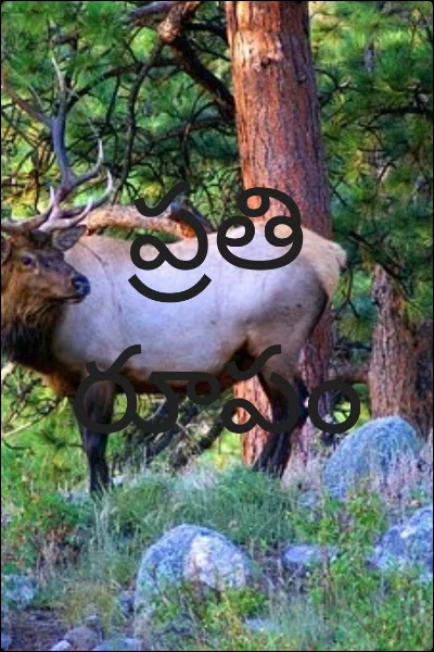 ప్రతి రూపం పార్ట్ 1