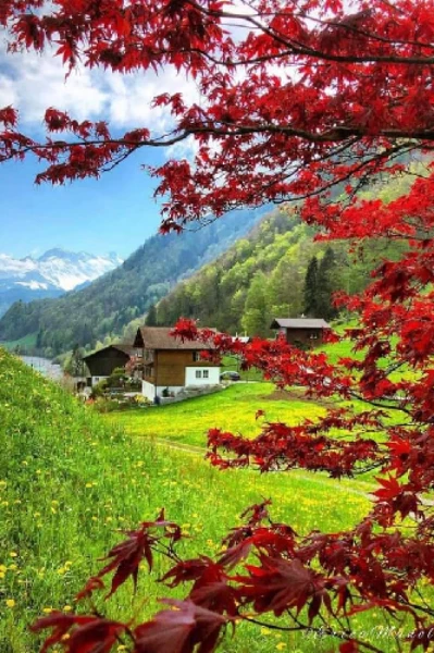 অনুপমা ( প্রথম অধ্যায় )