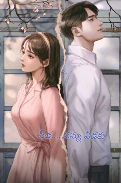 సీత.... నన్ను వీడకు