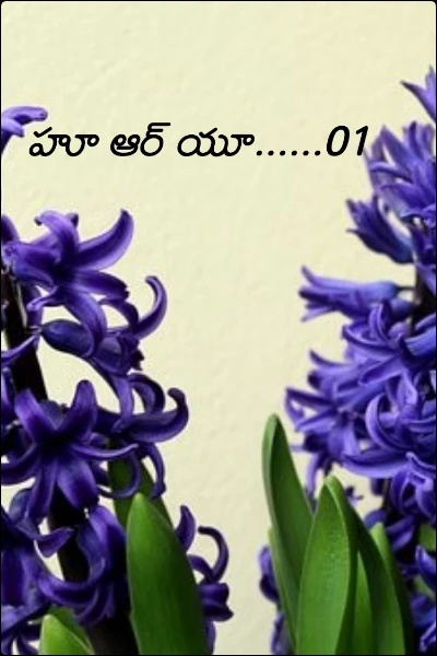 హూ ఆర్ యూ......01