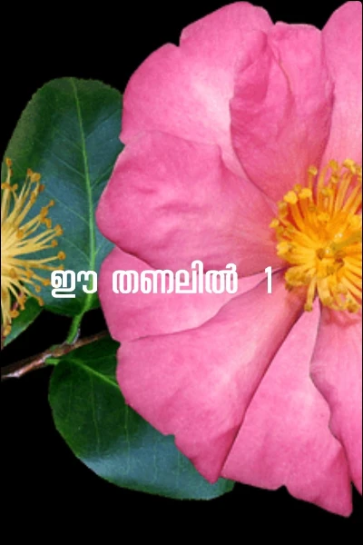 ഈ തണലില്‍
