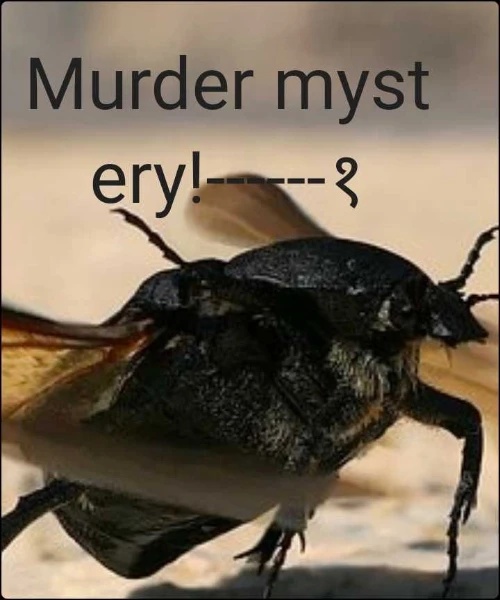 Murder mystery!