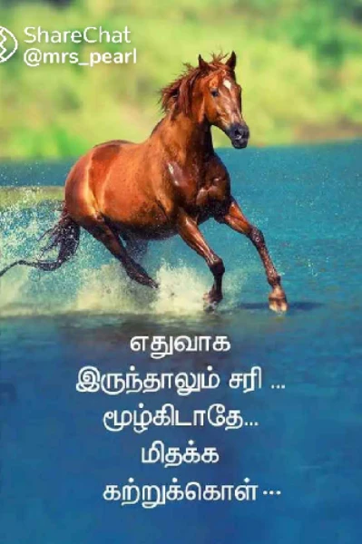 வீரனின் காவியம்