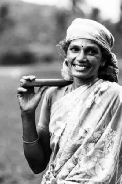 పొట్టేలు