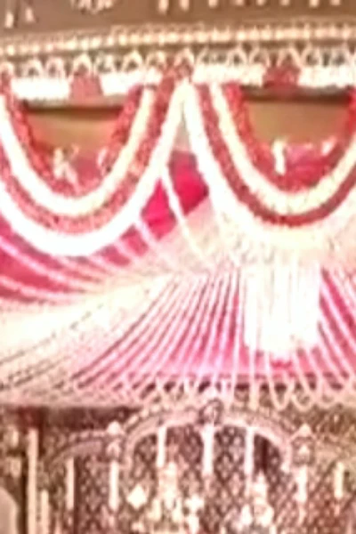 పెళ్ళి సందడి .........