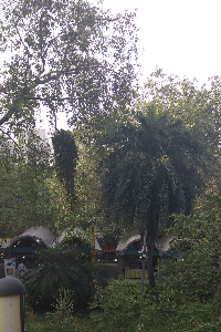 വെള്ളകുപ്പായം അണിഞ്ഞ പ്രേതം