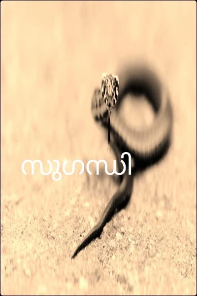 സുഗന്ധി