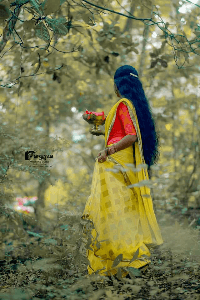 ಮಾಯಾ ಜಿಂಕೆ
ಯಾರ ಒಲವು ಯಾರ ಕಡೆಗೋ...