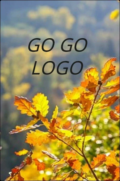 GO GO LOGO