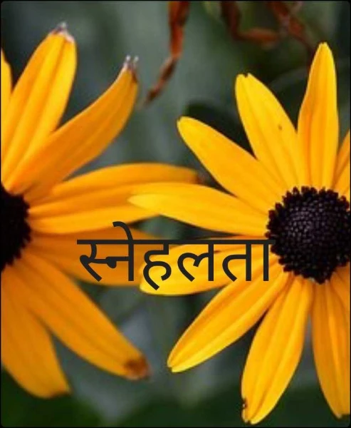 Part -1
स्नेहलता