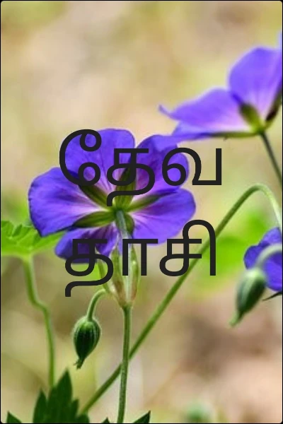 தேவதாசி