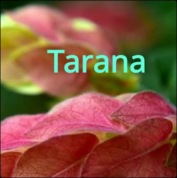Tarana