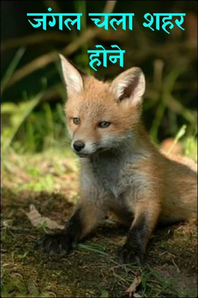 जंगल चला शहर होने