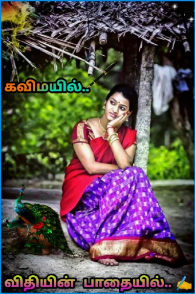 விதியின் பாதையில்