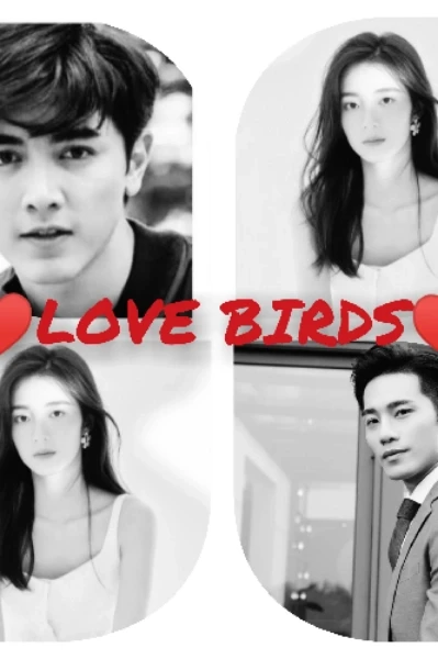 ♥️LOVE BIRDS♥️