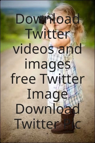 Download Twitter videos and images free Twitter Image Download Twitter Pic Online