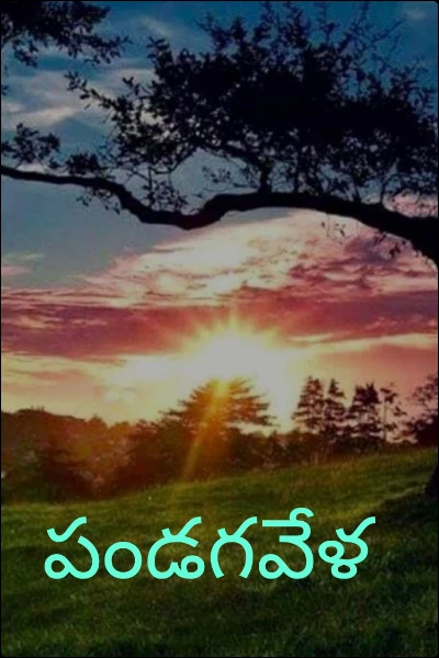 పండగవేళ