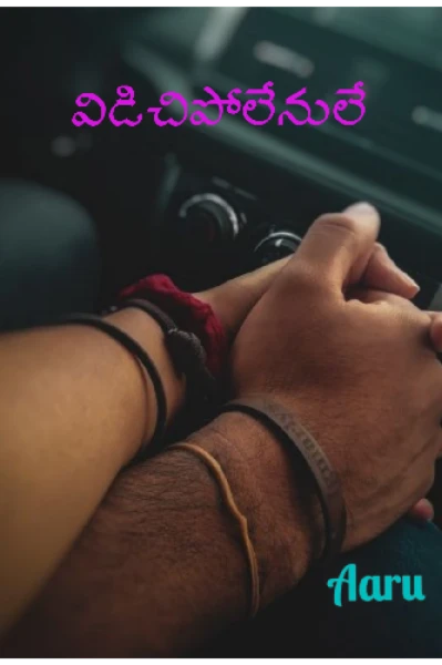 విడిచిపోలేనులే....!!!