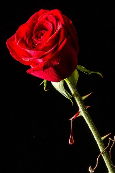 இனி எல்லாம் சுகமே