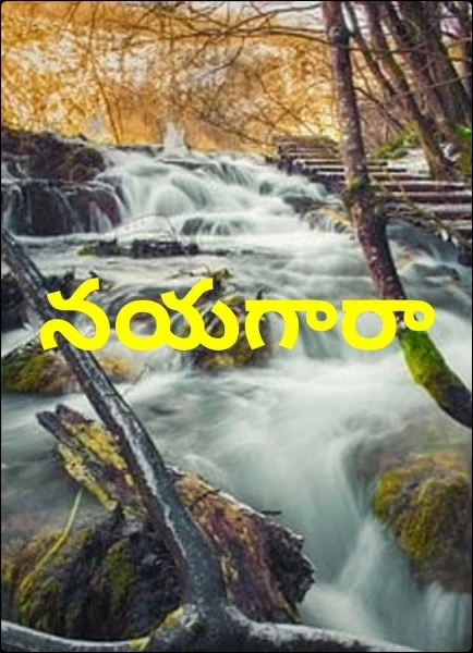 నయగారా
