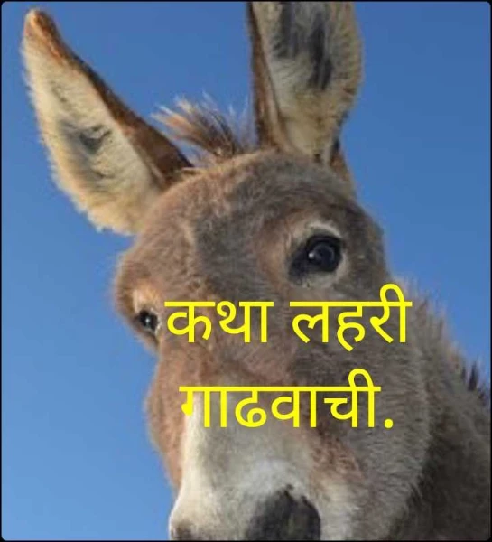 कथा लहरी गाढवाची.