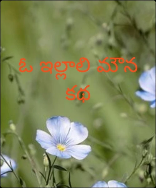 ఓ ఇల్లాలి మౌన కథ