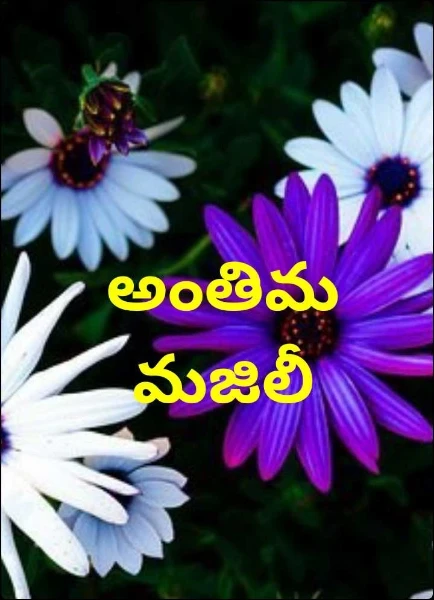 అంతిమ మజిలీ