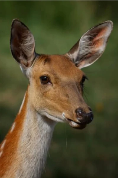 तुम्हारे लिए - भाग १