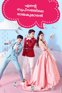 എന്റെ സ്വപ്നത്തിലെ രാജകുമാരൻ