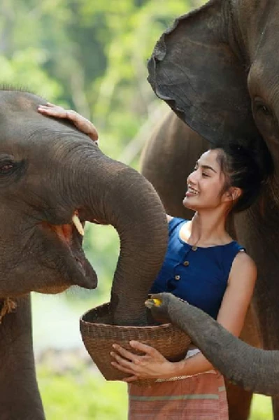 ❤️மனிதம் மாண்டுவிடவில்லை❤️