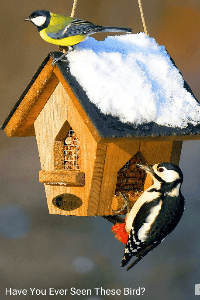 টিচার থেকে হবু স্বামী