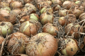 மர்ம கோவில்