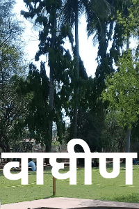 वाघीण