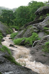 ఘాట్ రోడ్ లో నీ కోసం